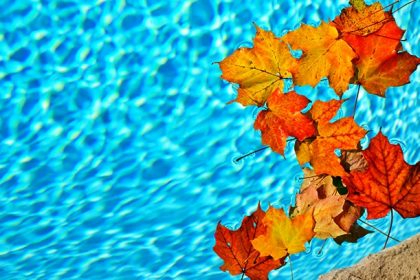 autumn-fall-leaves-falling-swimming-pool ogrzewanie wody basenowej zadaszenie przykrycie zimowe basenowe